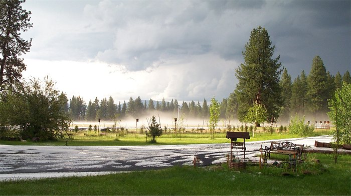 Image1
